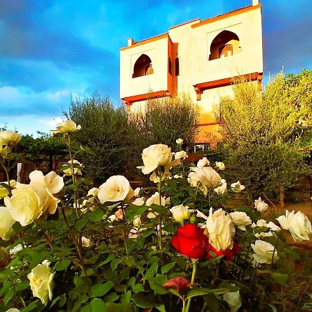 Riad Tazawa Ibrahene Экстерьер фото
