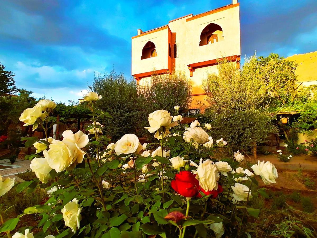 Riad Tazawa Ibrahene Экстерьер фото