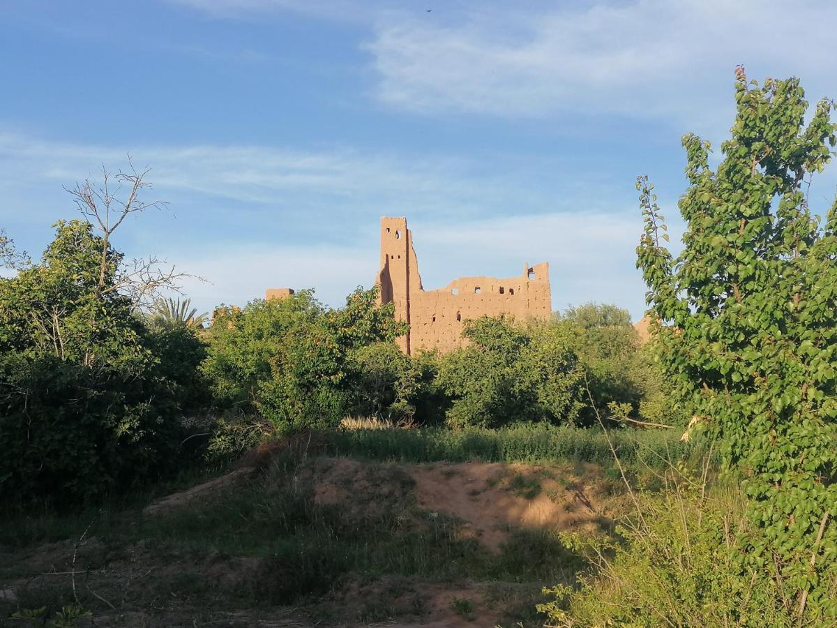 Riad Tazawa Ibrahene Экстерьер фото