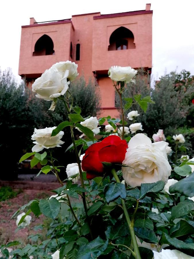 Riad Tazawa Ibrahene Экстерьер фото