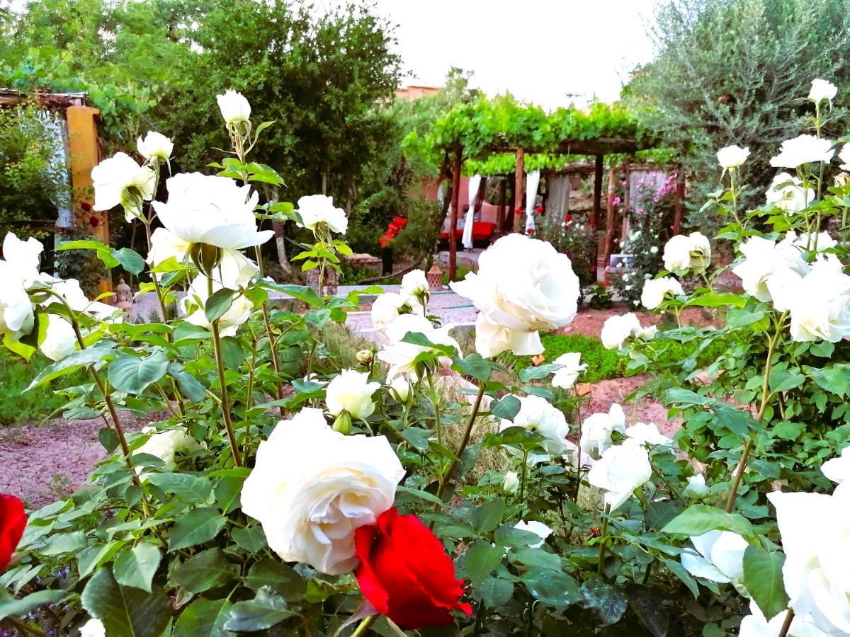 Riad Tazawa Ibrahene Экстерьер фото