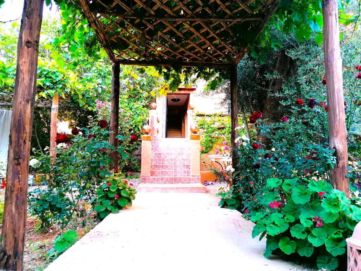 Riad Tazawa Ibrahene Экстерьер фото