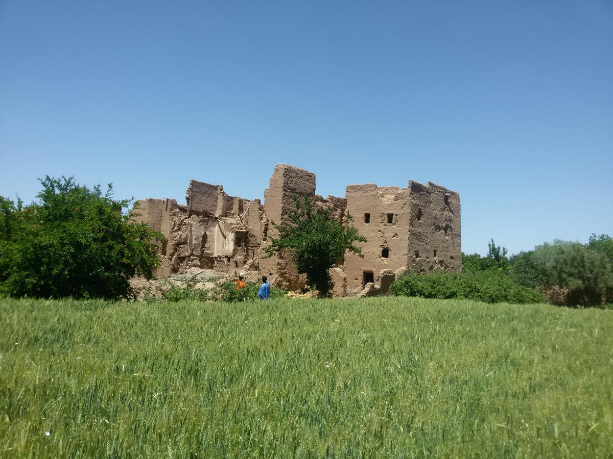Riad Tazawa Ibrahene Экстерьер фото